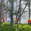 Pfingsten 2023: Waldbrand in Gartow
